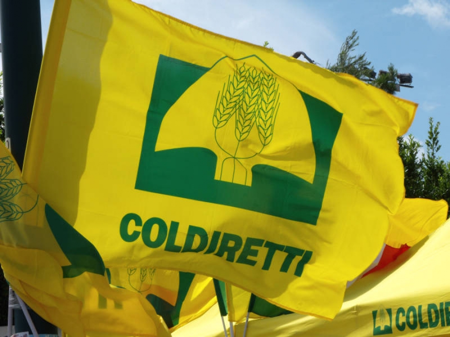 Storiche aziende calabresi del reggino aderiscono a Coldiretti
