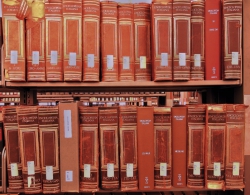 Intelligence, Mario Caligiuri scrive la voce sull'Enciclopedia Italiana della Treccani