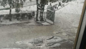 Forte grandinata in Calabria, danni a colture