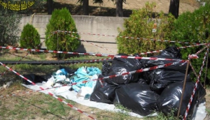 Rifiuti sanitari gettati in cassonetti, denuncia