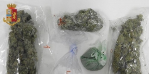 Tre buste di marijuana sotto il giubbino, un arresto nel vibonese
