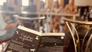 Prosegue a Curinga il viaggio di Teatro in Note nei borghi