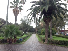 Presentata l&rsquo;attivit&agrave; per la valorizzazione dei Parchi