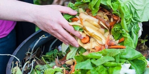 In Calabria 125milioni di euro di cibo finisce nell&rsquo;immondizia