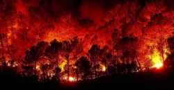Emergenza incendi: dal 1 gennaio al 18 agosto sono stati 5.867 in tutta la Regione