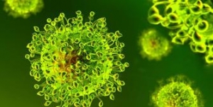 Covid in Calabria, curva dei contagi stabile