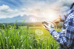Nuove risorse in agricoltura e per i Comuni dell'area Leader del GAL Valle del Crati