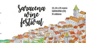 IX Edizione del Festival del Vino a Saracena(CS)