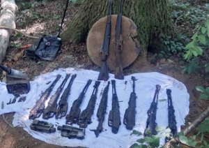 Girifalco: rinvenute nel bosco armi rubate