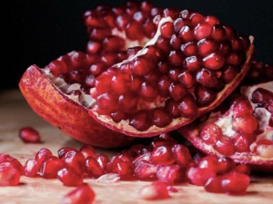 Giornata dell&rsquo;amicizia, agronomi la celebrano a San Vitaliano