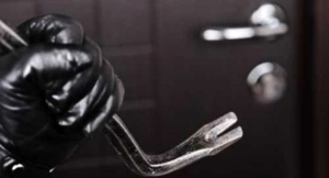 Scoperto durante un furto, era nascosto in una stanza