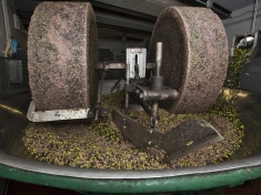 Sigillato frantoio, uomo continua a lavorare e viene arrestato