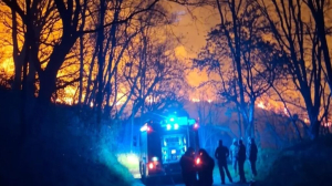 Vasto incendio tra Martirano Antico e Conflenti