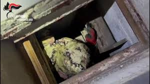 Trovato un bunker con armi nel Reggino