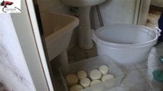 Sequestrati 250 chili di formaggi