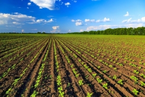 Il 7 aprile l'evento ''Nova Agricoltura'' a Cerchiara di Calabria (CS)