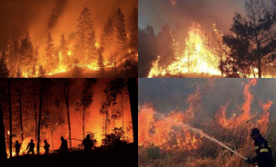 Torna la piaga degli incendi in Calabria: oltre 70 interventi 24 ore