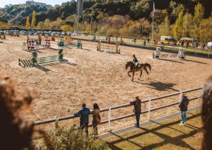 A Catanzaro la prima tappa del circuito classico Masaf di ippica