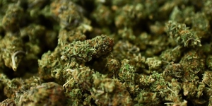 2 kg di droga in auto, arrestato nel cosentino