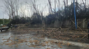 Calabria nella morsa del maltempo
