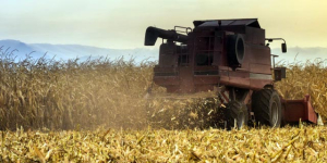 Guerra in Iran, l&rsquo;agricoltura calabrese finisce sotto attacco
