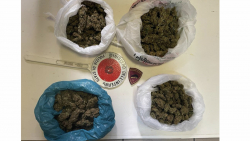 Crotone: sequestrato mezzo chilo di marjuana