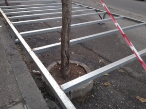 Cosenza, alberi da sacrificare a favore dei ristoranti