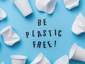Calabria: Sette Comuni premiati Plastic Free
