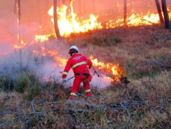 Servizio antincendio ''Calabria Verde'': al 31 luglio gestiti 2.720 incendi