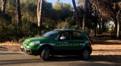 Scoperto a cacciare nel Parco d&rsquo;Aspromonte: denunciato