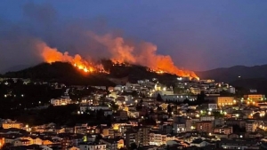 Brucia la Calabria, da nord a sud