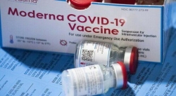 Calabria: ciclo completo di vaccini anti Covid per il 64,9% della popolazione