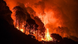 Incendi boschivi in Calabria: oggi quattro richieste d&rsquo;intervento aereo